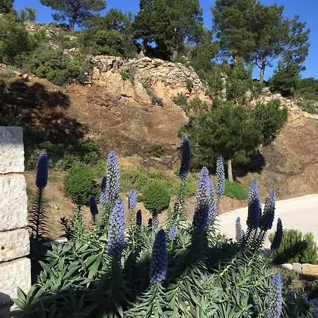 Bed & Breakfast Kalopetri 2*