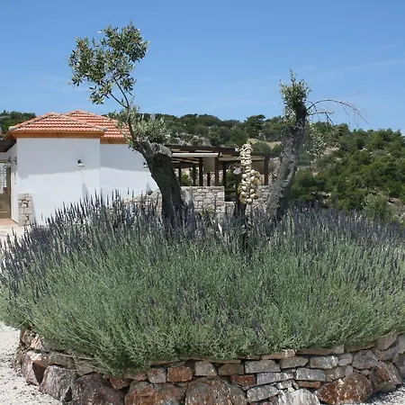 Kalopetri 2* Kamiros