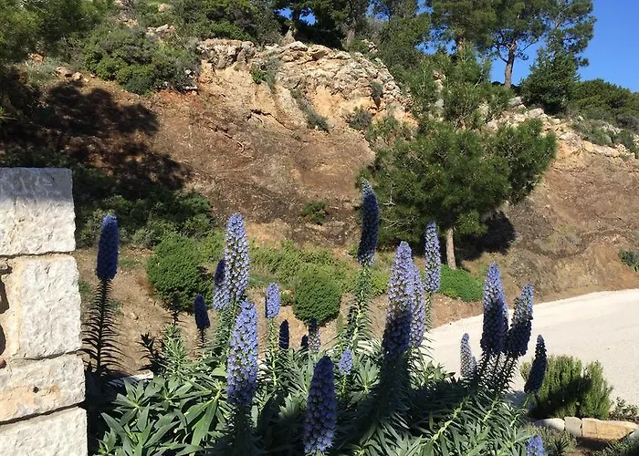 Bed & Breakfast Kalopetri 2*