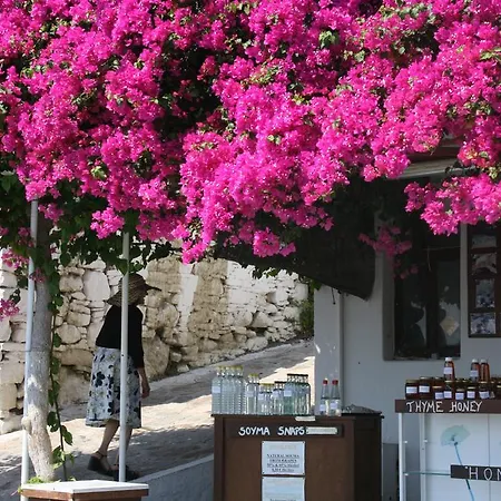 Bed & Breakfast Kalopetri