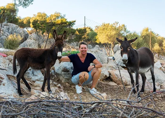 Kalopetri Alojamento de Acomodação e Pequeno-almoço 2*